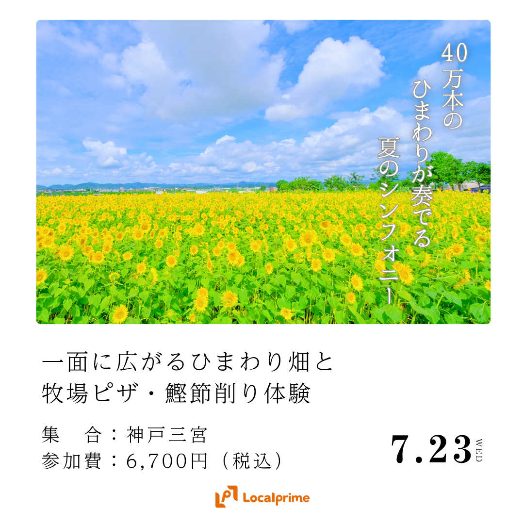 〔2025.7.23(水)開催〕一面に広がるひまわり畑と牧場ピザ・鰹節削り体験